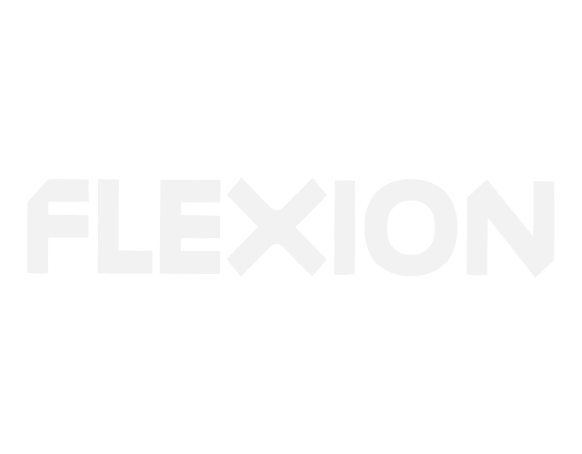 Flexion Mobile signs deal with Vizor